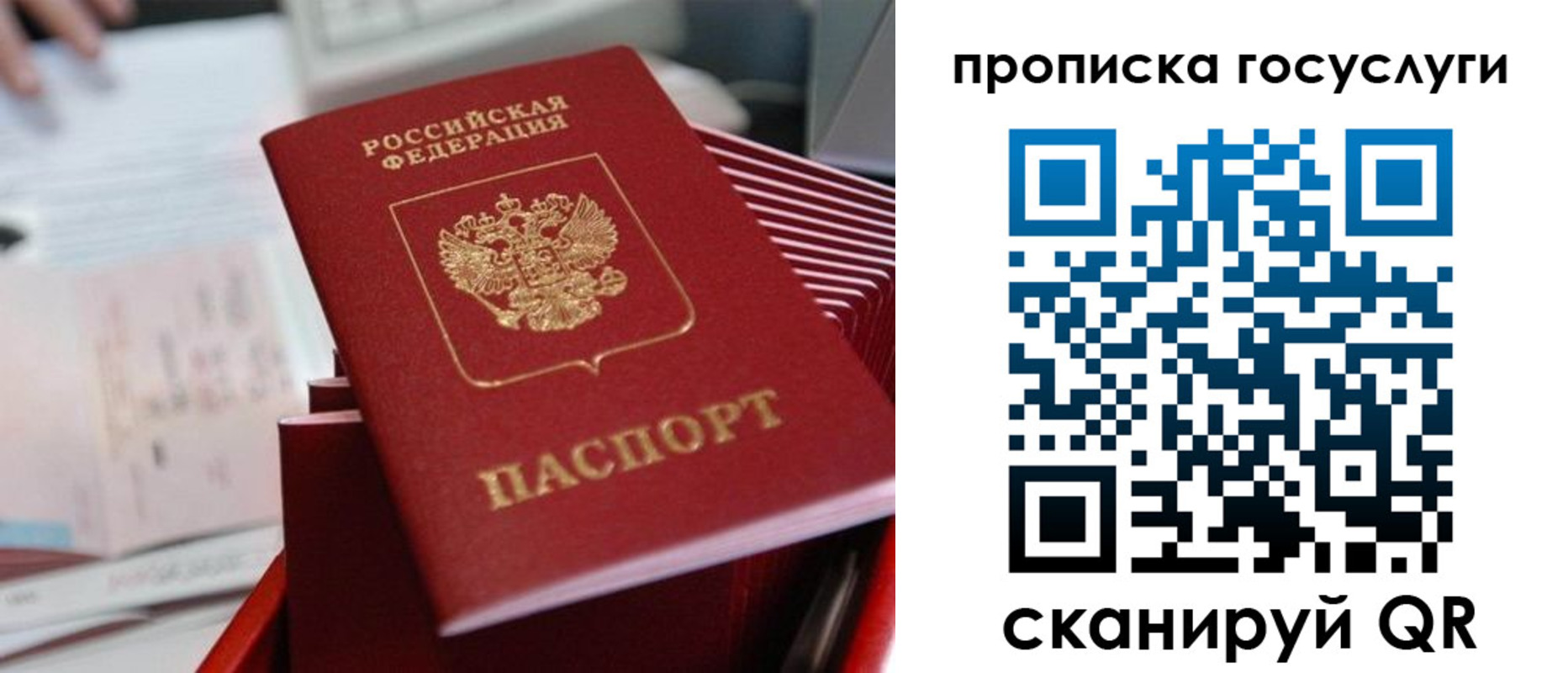 прописка законно в Нытве